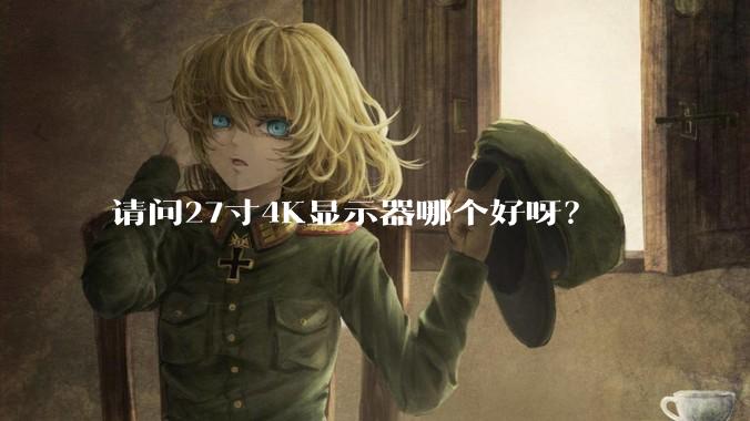 请问27寸4K显示器哪个好呀？