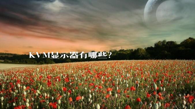 KVM显示器有哪些？