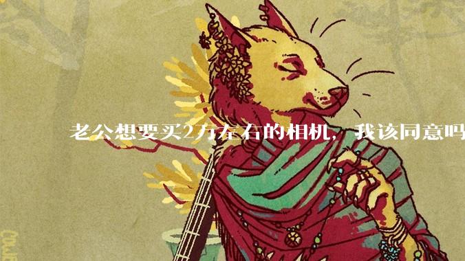 老公想要买2万左右的相机，我该同意吗？