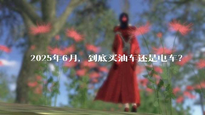 2025年6月，到底买油车还是电车？